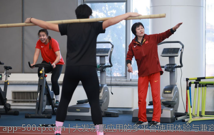 大发彩票应用的多平台使用体验与兼容性