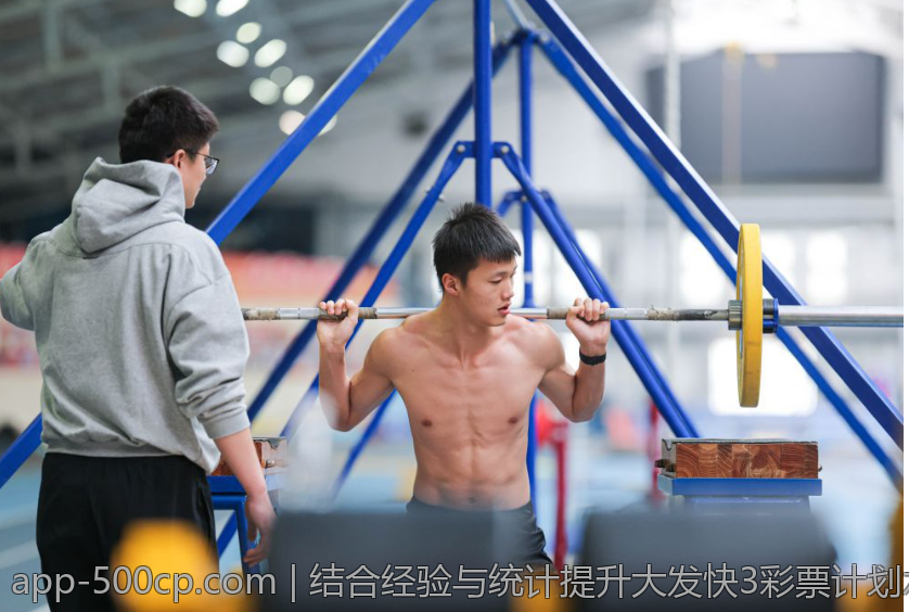 结合经验与统计提升大发快3彩票计划水平